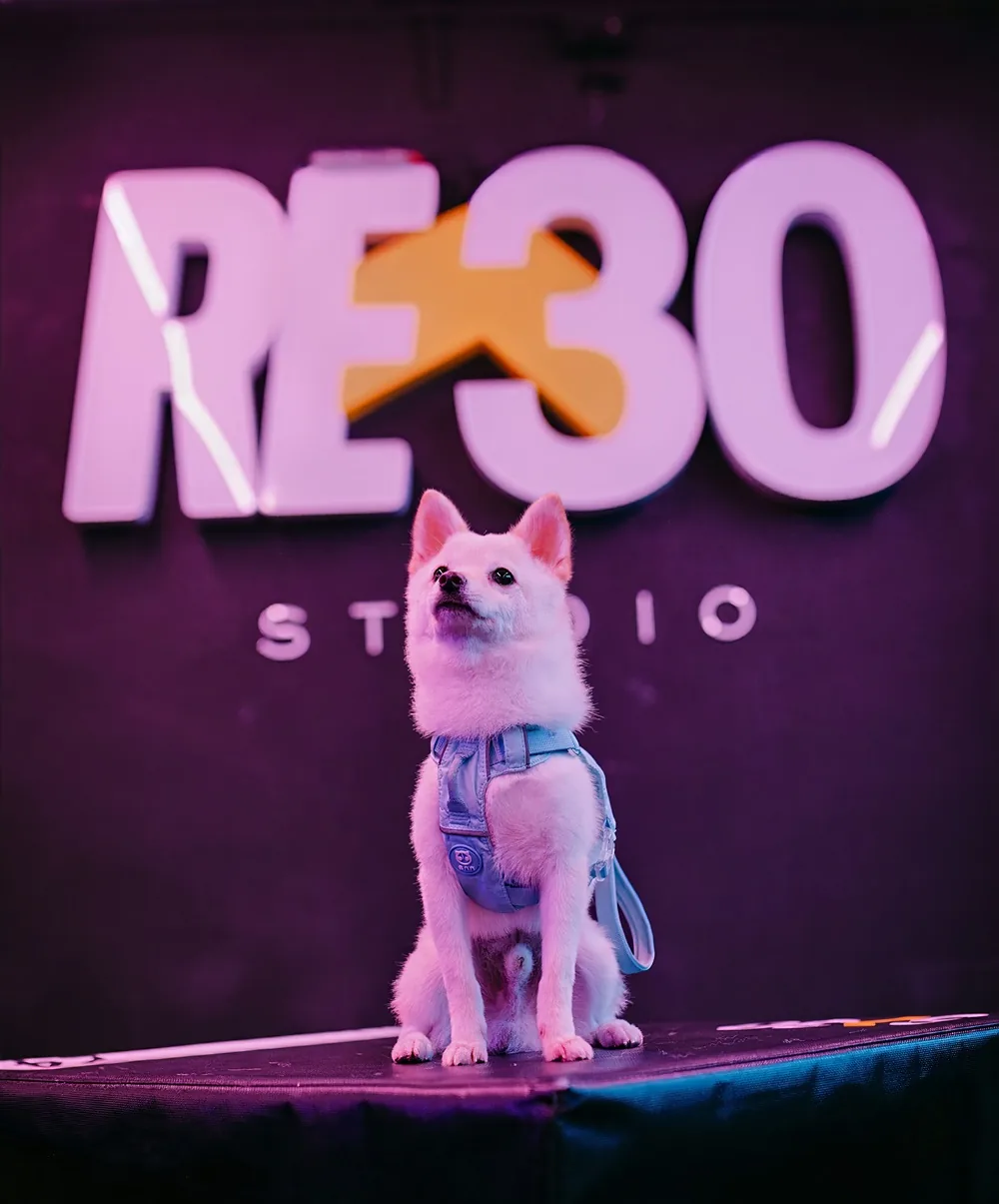 RE30 Mascot